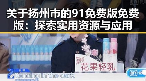 关于扬州市的91免费版免费版：探索实用资源与应用