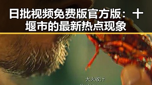 日批视频免费版官方版：十堰市的最新热点现象