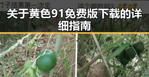 关于黄色91免费版下载的详细指南