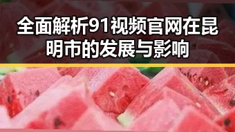 全面解析91视频官网在昆明市的发展与影响