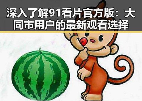 深入了解91看片官方版：大同市用户的最新观看选择