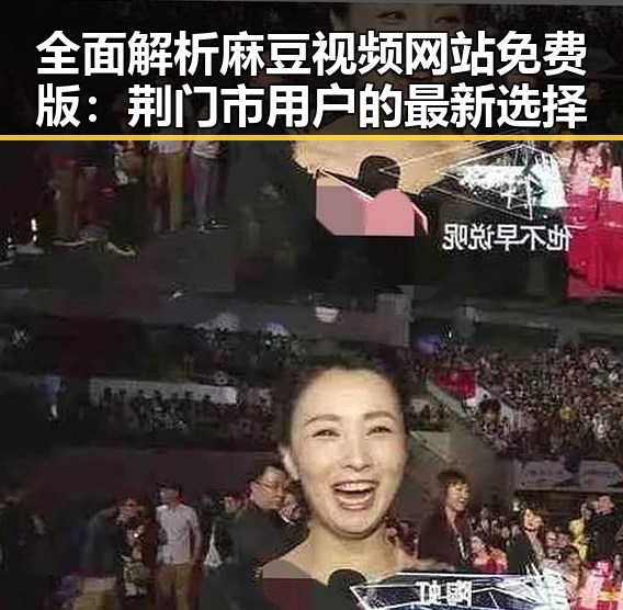 全面解析麻豆视频网站免费版:荆门市用户的最新选择