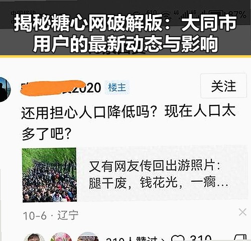 揭秘糖心网破解版：大同市用户的最新动态与影响