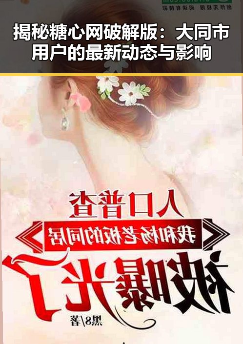 揭秘糖心网破解版:大同市用户的最新动态与影响