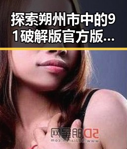 探索朔州市中的91破解版官方版：最新动态与行业影响