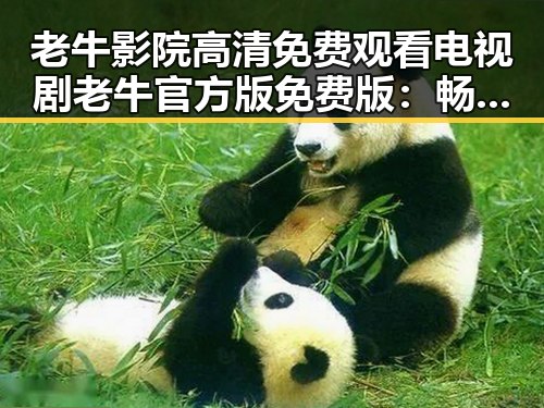 老牛影院高清免费观看电视剧老牛官方版免费版:畅享优质影视体验