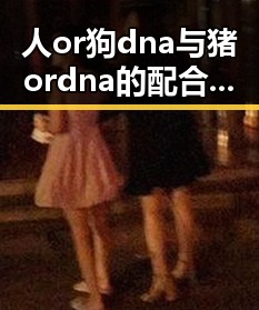人or狗dna与猪ordna的配合与防治官方版：新技术助力畜牧业健康发展