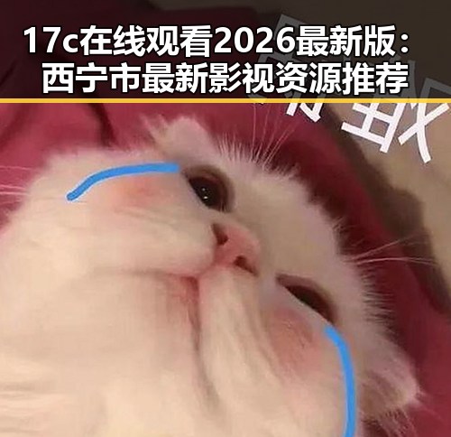 17c在线观看2026最新版:西宁市最新影视资源推荐