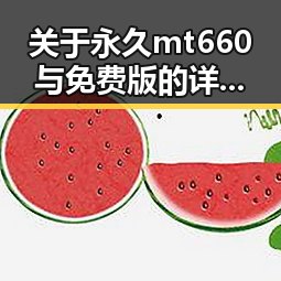关于永久mt660与免费版的详细解析