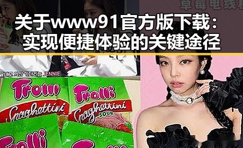 关于www91官方版下载：实现便捷体验的关键途径
