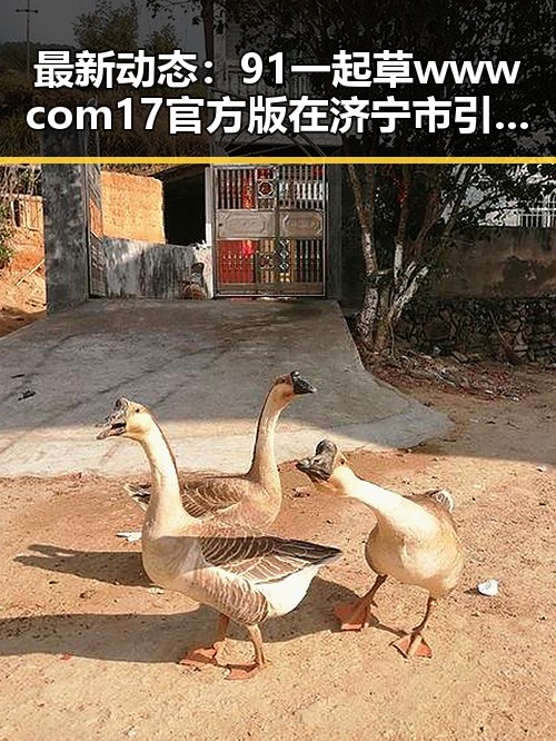 最新动态：91 一起草wwwcom17官方版在济宁市引发关注