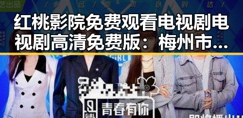 红桃影院免费观看电视剧电视剧高清免费版：梅州市居民的新选择