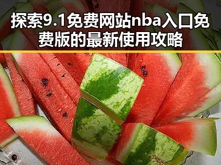 探索9.1免费网站nba入口免费版的最新使用攻略