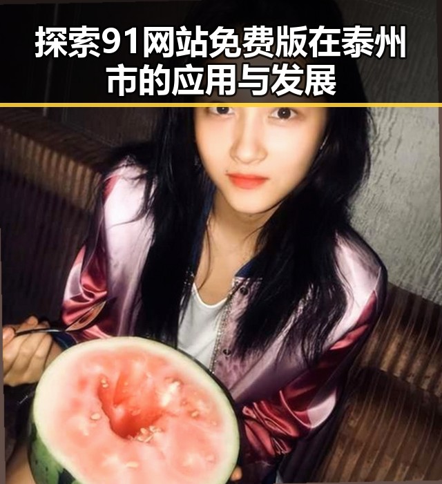 探索91网站免费版在泰州市的应用与发展