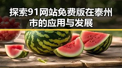 探索91网站免费版在泰州市的应用与发展