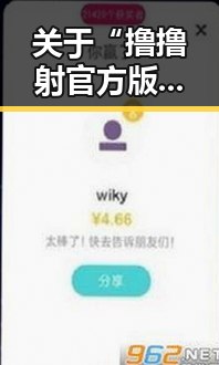 关于“撸撸射官方版”的全面解读与背景分析