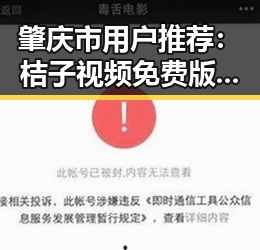 肇庆市用户推荐：桔子视频免费版全面解析