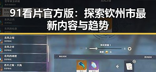 91看片官方版：探索钦州市最新内容与趋势
