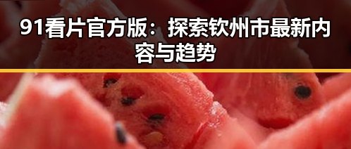 91看片官方版：探索钦州市最新内容与趋势