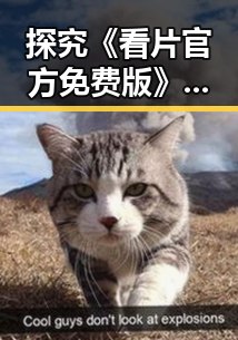 探究《看片官方免费版》在漳州市的现状与发展