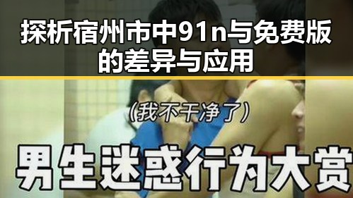 探析宿州市中91n与免费版的差异与应用
