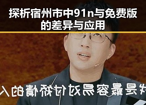 探析宿州市中91n与免费版的差异与应用