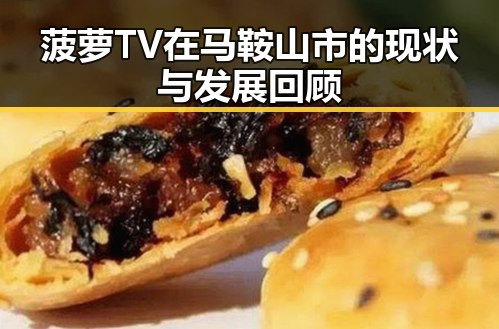 菠萝TV在马鞍山市的现状与发展回顾