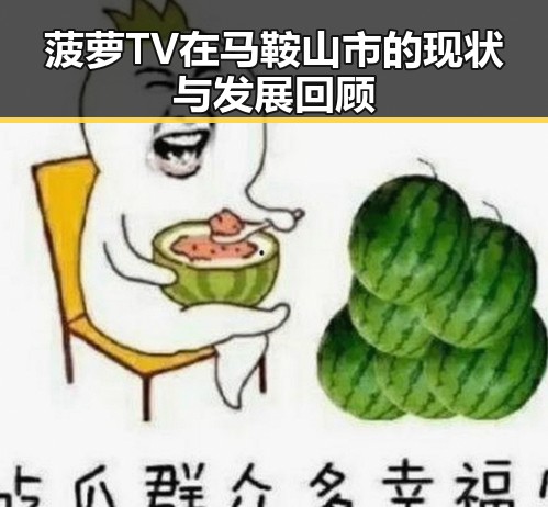 菠萝TV在马鞍山市的现状与发展回顾