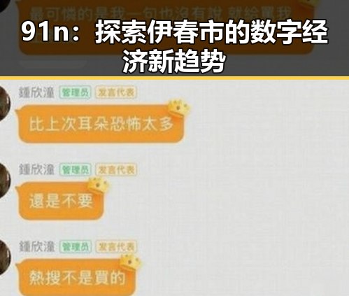 91n：探索伊春市的数字经济新趋势