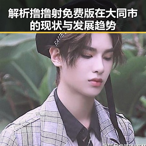 解析撸撸射免费版在大同市的现状与发展趋势