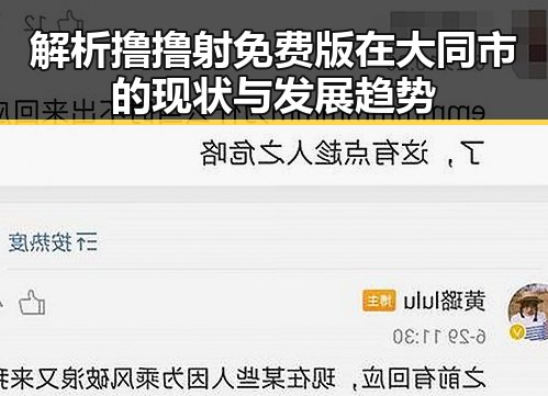 解析撸撸射免费版在大同市的现状与发展趋势