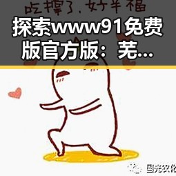 探索www91免费版官方版:芜湖市最新免费版官方版指南