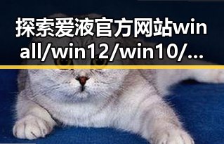 探索爱液官方网站winall/win12/win10/百度的现状与发展