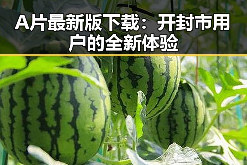 A片最新版下载:开封市用户的全新体验