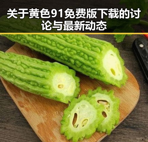 关于黄色91免费版下载的讨论与最新动态