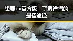 想要xx官方版：了解详情的最佳途径