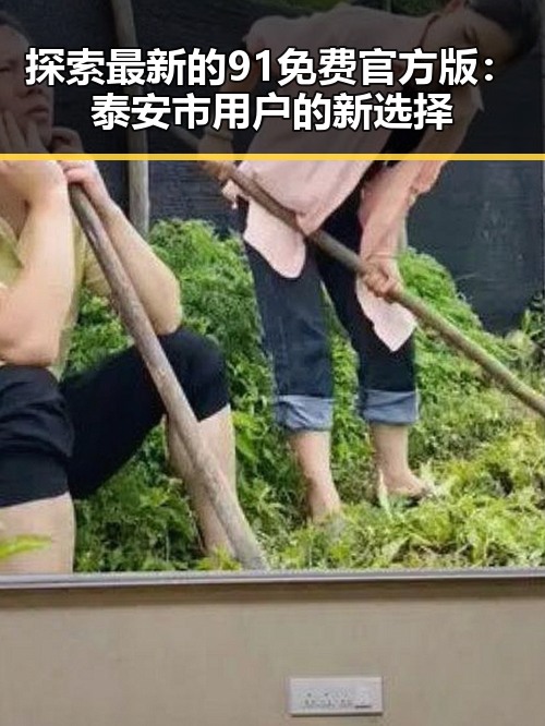 探索最新的91免费官方版：泰安市用户的新选择