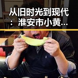 从旧时光到现代：淮安市小黄书破解版下载绿色版的变迁