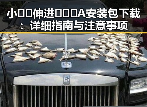 小🐔🐔伸进🈲🔞🔞A安装包下载：详细指南与注意事项