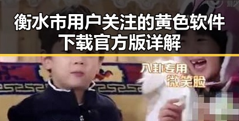 衡水市用户关注的黄色软件下载官方版详解