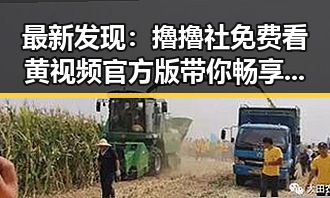 最新发现：擼擼社免费看黄 视频官方版带你畅享无限娱乐