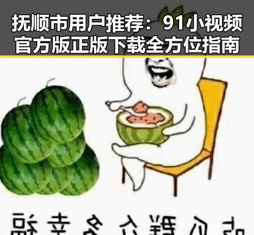 抚顺市用户推荐：91小视频官方版正版下载全方位指南