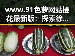 www.91色 萝网站樱花最新版：探索徐州市网络娱乐的新风尚