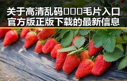 关于高清乱码🔞❌♋毛片入口官方版正版下载的最新信息