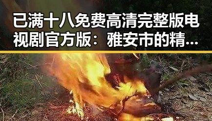 已满十八免费高清完整版电视剧官方版：雅安市的精彩影视体验
