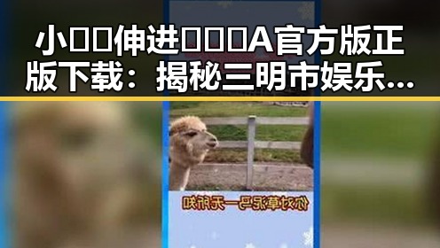 小🐔🐔伸进🈲🔞🔞A官方版正版下载：揭秘三明市娱乐圈的最新动向