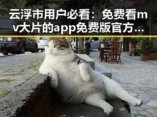 云浮市用户必看：免费看mv大片的app免费版官方版详细攻略