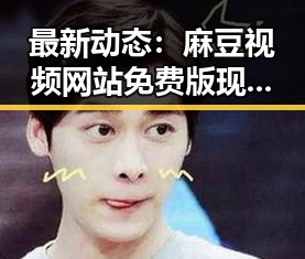 最新动态：麻豆视频网站免费版现已广泛使用