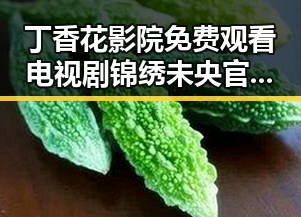 丁香花影院免费观看电视剧锦绣未央官方版——全网热播剧尽在这里
