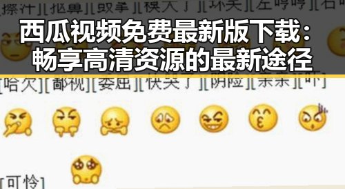 西瓜视频免费最新版下载：畅享高清资源的最新途径